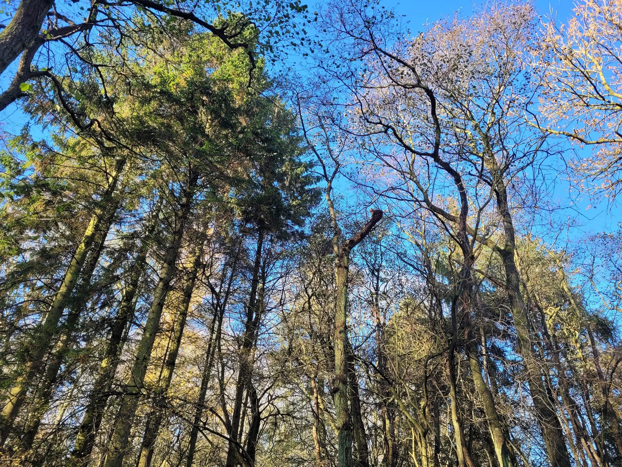 The Surroundings